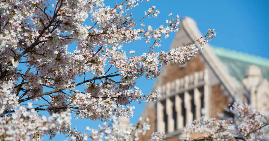 Finding our Callings in Eastertide, a blog by Pastor Leigh at Vashon Presbyterian Church
