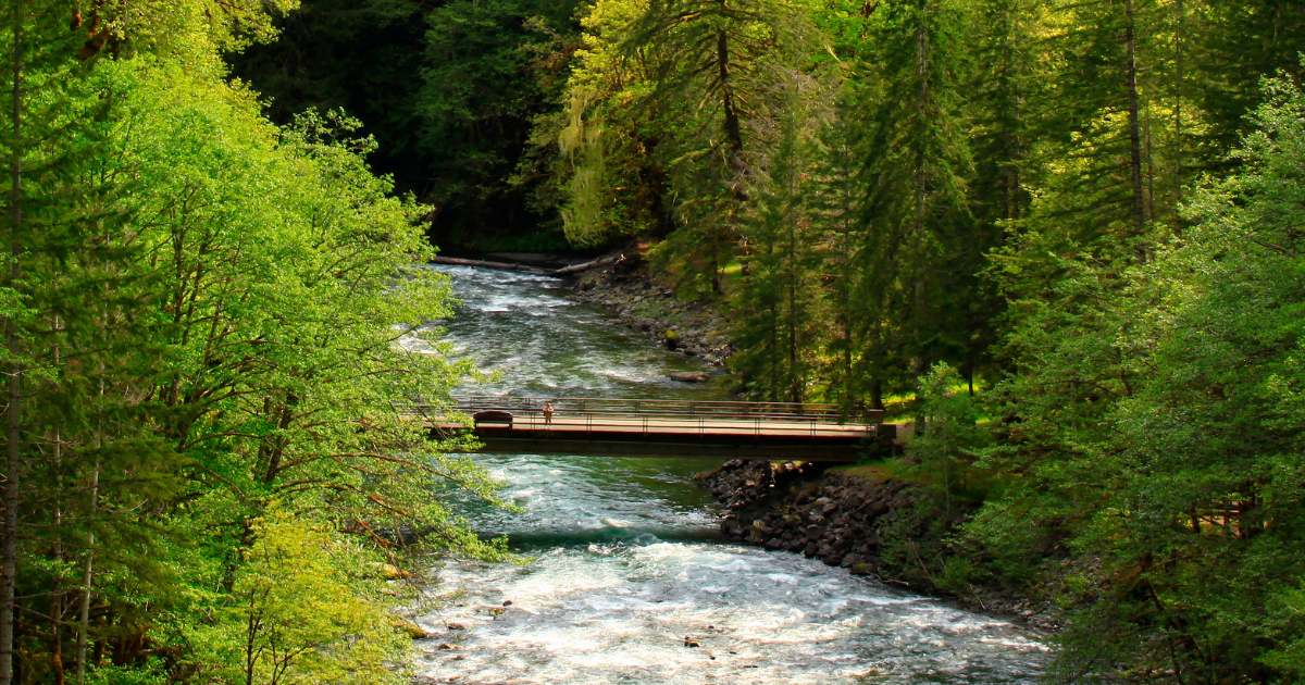 The Bridges We're Called to Build, a blog by Pastor Leigh at Vashon Presbyterian Church